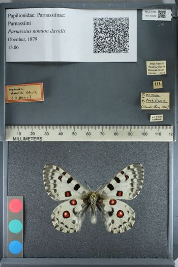 Media type: image;   Entomology 175030